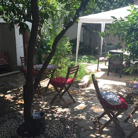 Zeytin بيت ضيافة Ayvalı