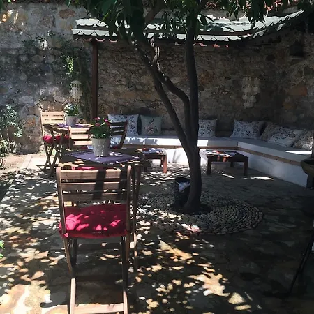 Zeytin بيت ضيافة Ayvalı