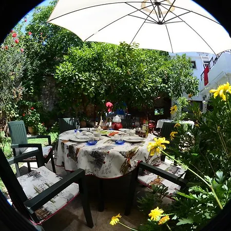 Zeytin 3*