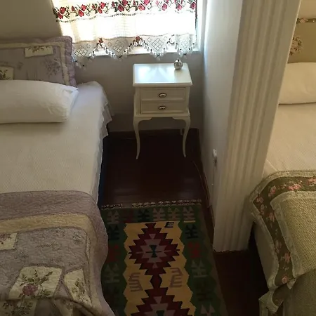 Zeytin Ayvalı